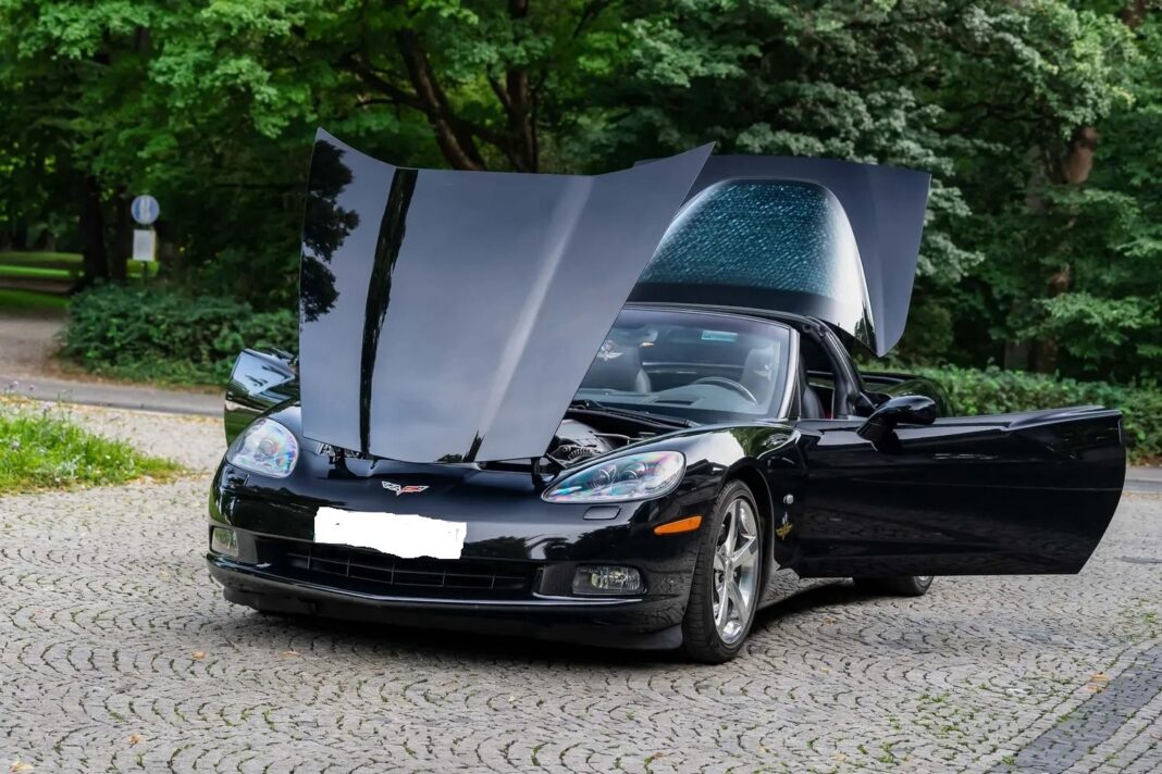 corvette (15)