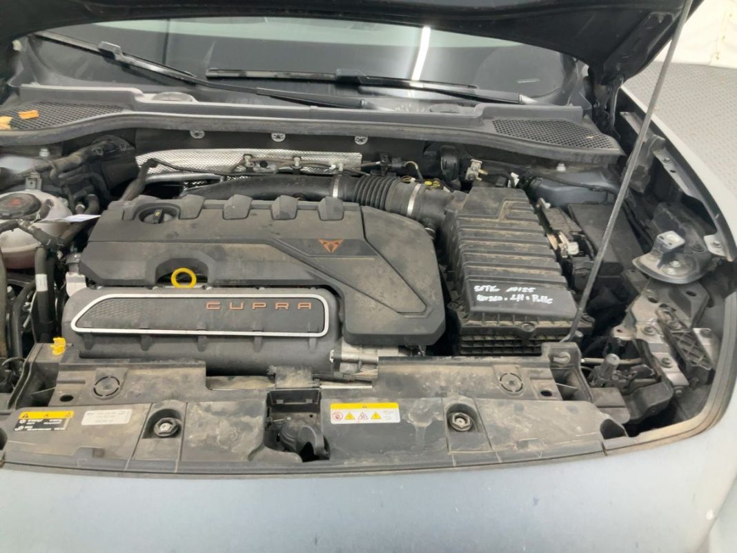 cupra (1)