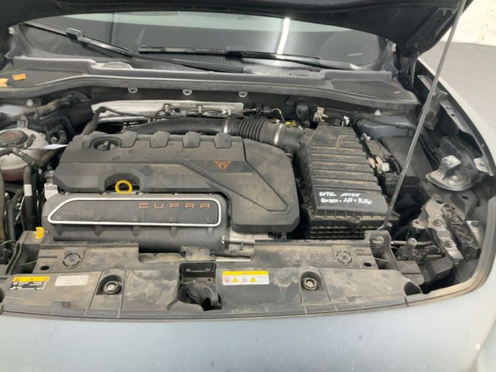 cupra (1)