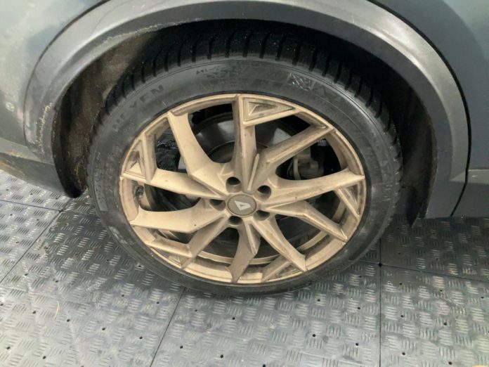cupra (10)