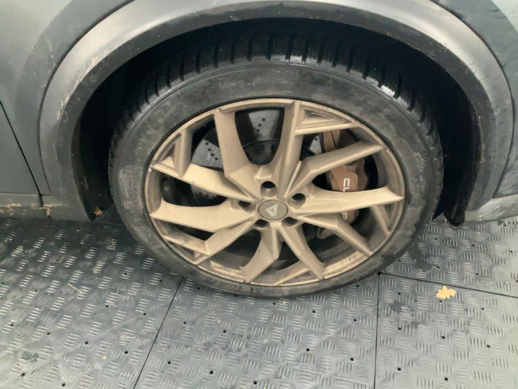cupra (18)