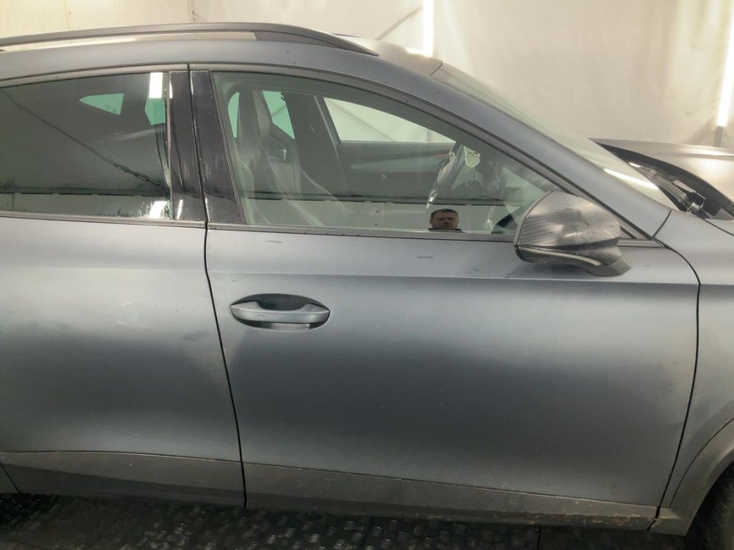 cupra (2)