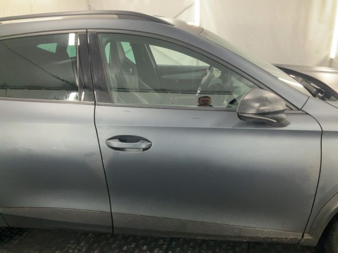 cupra (2)