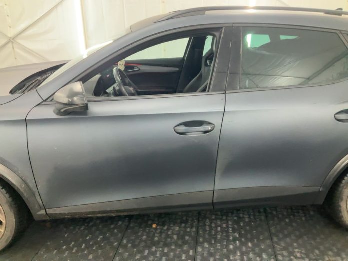cupra (21)