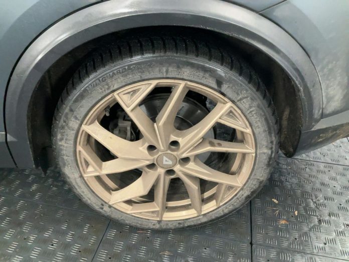 cupra (26)