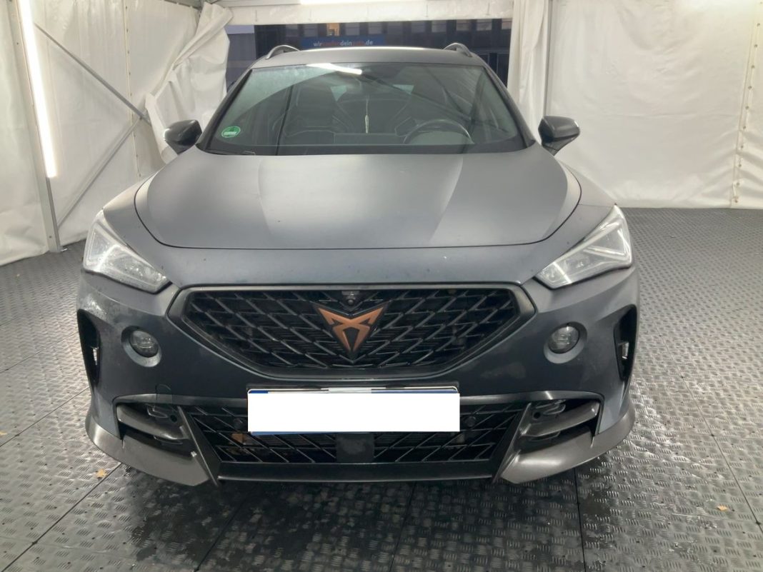 cupra (3)