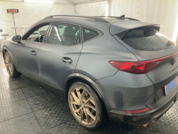 cupra (6)